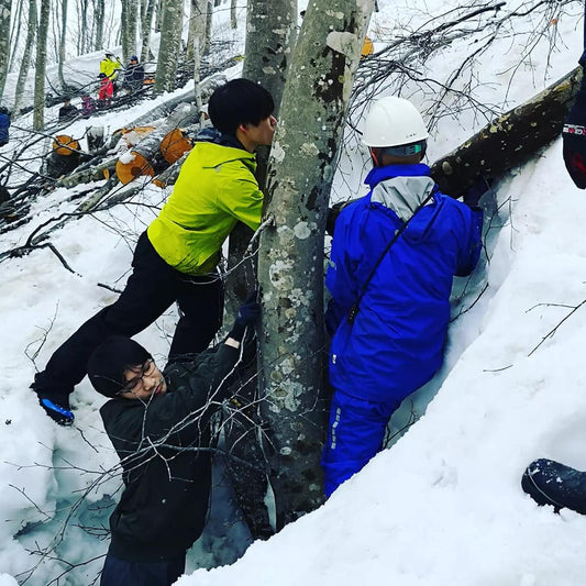 大白川山の神、雪上伐採