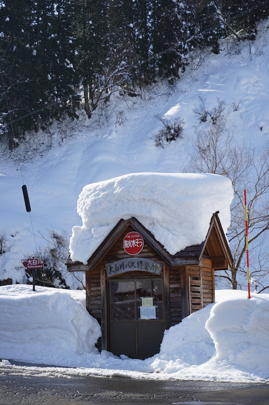 大白川のバス停